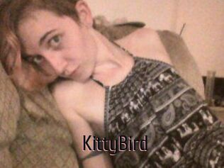 KittyBird