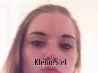 KleineStel