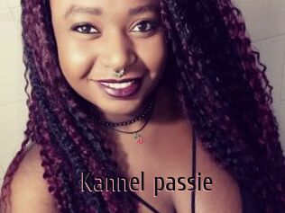 Kannel_passie