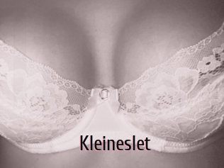 Kleineslet