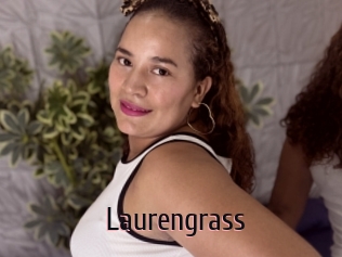 Laurengrass