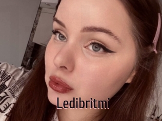 Ledibritmi