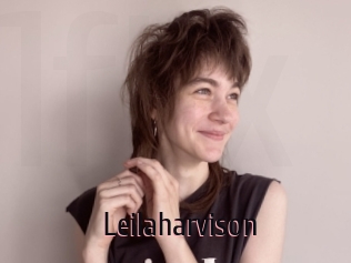 Leilaharvison