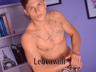 Leocavalli