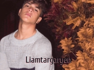 Liamtargaryen