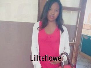 Lillteflower