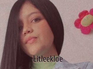 Litleekloe