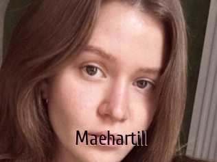 Maehartill