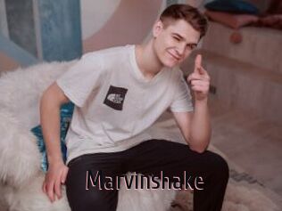 Marvinshake