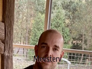 Meesterv