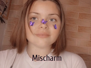 Mischarm