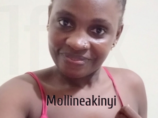 Mollineakinyi