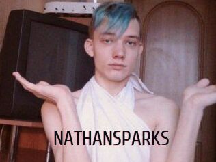 NATHAN_SPARKS