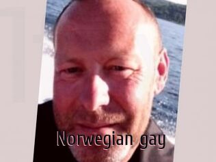 Norwegian_gay