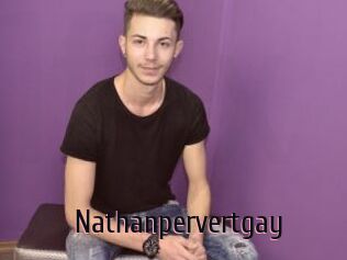 Nathanpervertgay