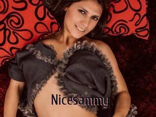 Nicesammy