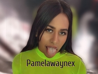 Pamelawaynex