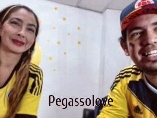 Pegasso_love