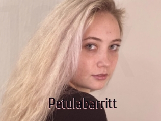 Petulabarritt