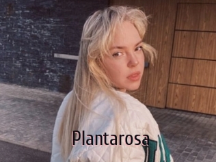 Plantarosa