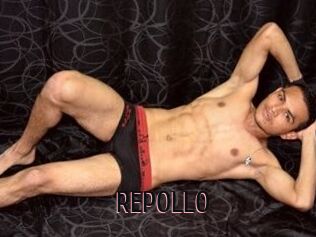 REPOLLO