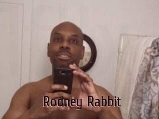 Rodney_Rabbit