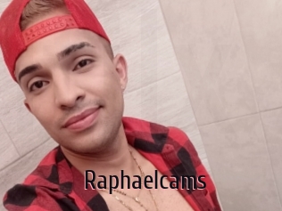 Raphaelcams