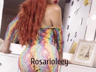 Rosarioleey