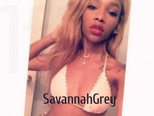 Savannah_Grey