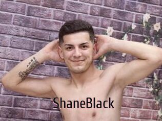 ShaneBlack