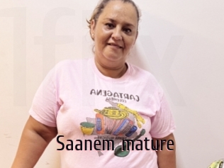 Saanem_mature