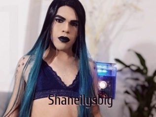 Shaneilysbig