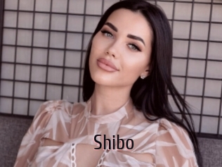 Shibo