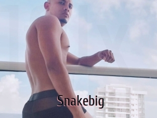 Snakebig