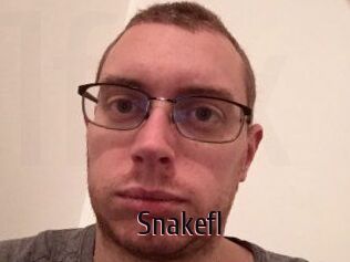 Snakefl