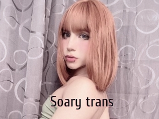 Soary_trans