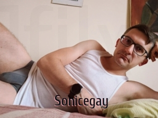 Sonicegay