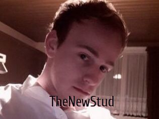 TheNewStud