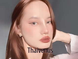 Thaivenus