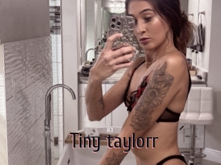 Tiny_taylorr