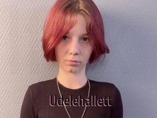 Udelehallett