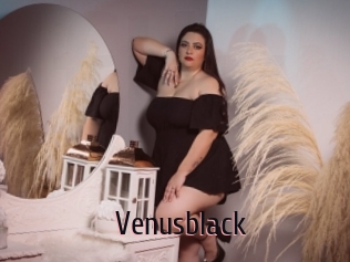 Venusblack