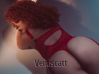 Venuscatt