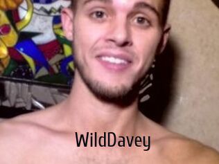 WildDavey