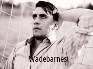 Wadebarnes