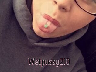 Wetpussy210