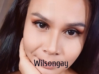 Wilsongay