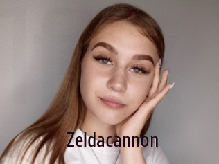 Zeldacannon