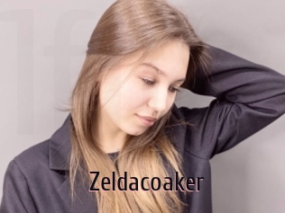 Zeldacoaker